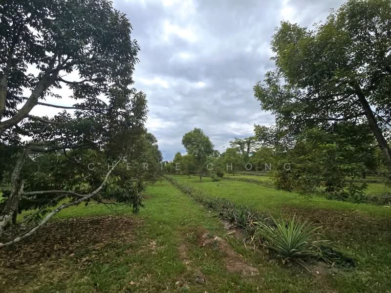 Agricultural Land for Sale in Lawin (Kuala Kangsar) - Cherie Chong - PropertyGuru.com.my