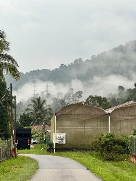 Hotel / Resort for Sale in Janda Baik (Bentong) - Adzura Zamedin - PropertyGuru.com.my