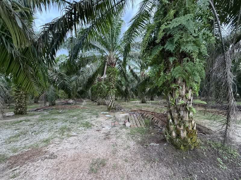 Agricultural Land for Sale in Sungai Siput (Perak) - Gary Tang - Exterior - PropertyGuru.com.my