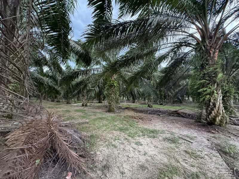 Agricultural Land for Sale in Sungai Siput (Perak) - Gary Tang - Exterior - PropertyGuru.com.my