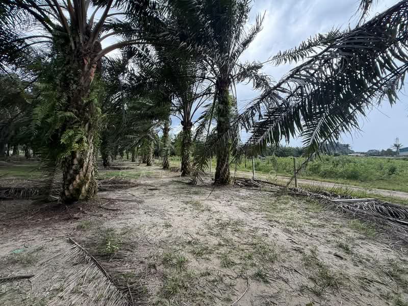 Agricultural Land for Sale in Sungai Siput (Perak) - Gary Tang - Exterior - PropertyGuru.com.my