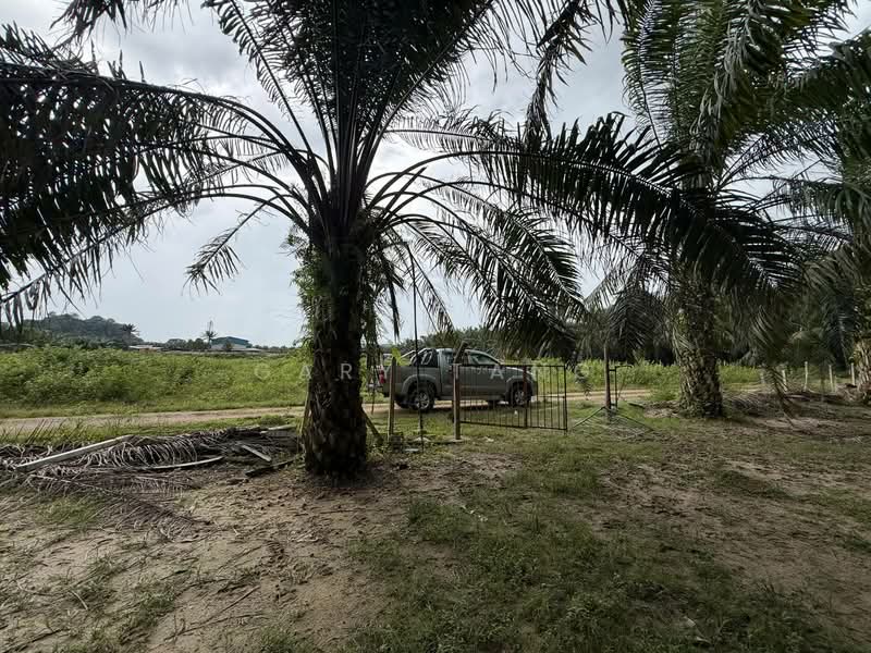 Agricultural Land for Sale in Sungai Siput (Perak) - Gary Tang - Exterior - PropertyGuru.com.my