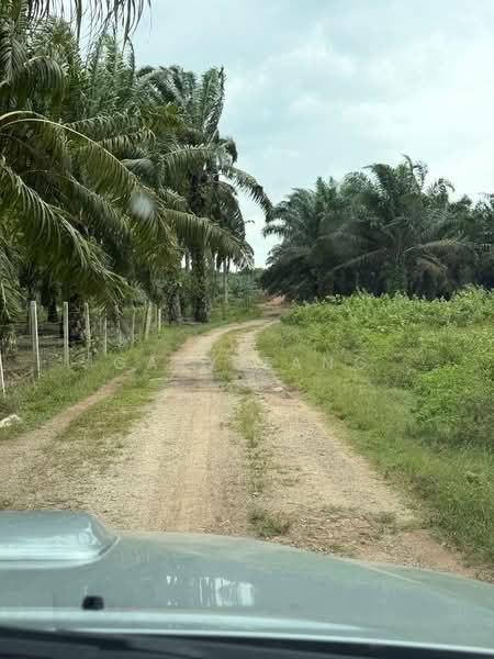 Agricultural Land for Sale in Sungai Siput (Perak) - Gary Tang - Exterior - PropertyGuru.com.my