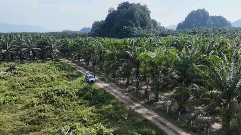 Agricultural Land for Sale in Sungai Siput (Perak) - Gary Tang - Exterior - PropertyGuru.com.my