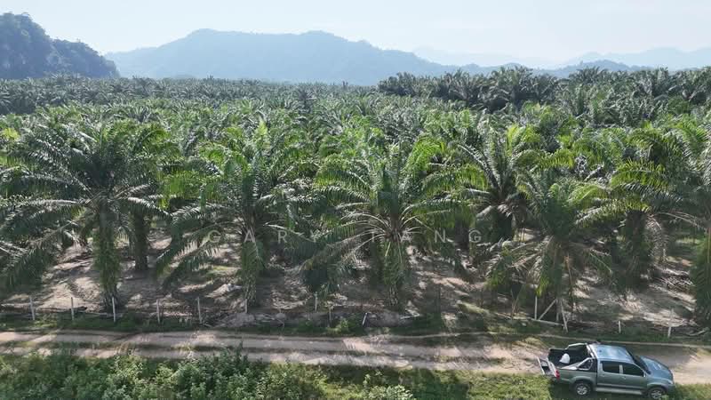 Agricultural Land for Sale in Sungai Siput (Perak) - Gary Tang - Exterior - PropertyGuru.com.my