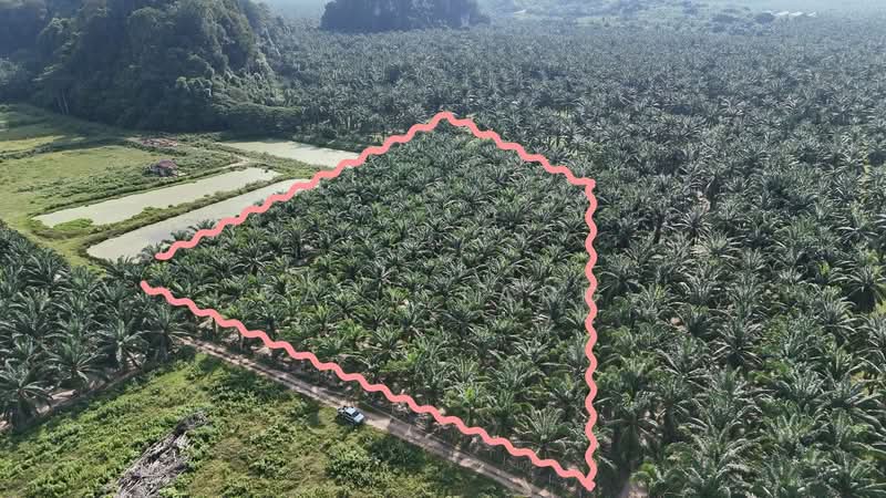 Agricultural Land for Sale in Sungai Siput (Perak) - Gary Tang - Exterior - PropertyGuru.com.my