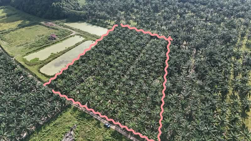 Agricultural Land for Sale in Sungai Siput (Perak) - Gary Tang - Exterior - PropertyGuru.com.my