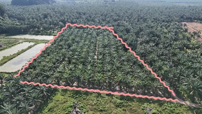 Agricultural Land for Sale in Sungai Siput (Perak) - Gary Tang - Exterior - PropertyGuru.com.my