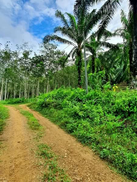 Agricultural Land for Sale in Taman Jalong Baru (Sungai Siput) - Cherie Chong - PropertyGuru.com.my