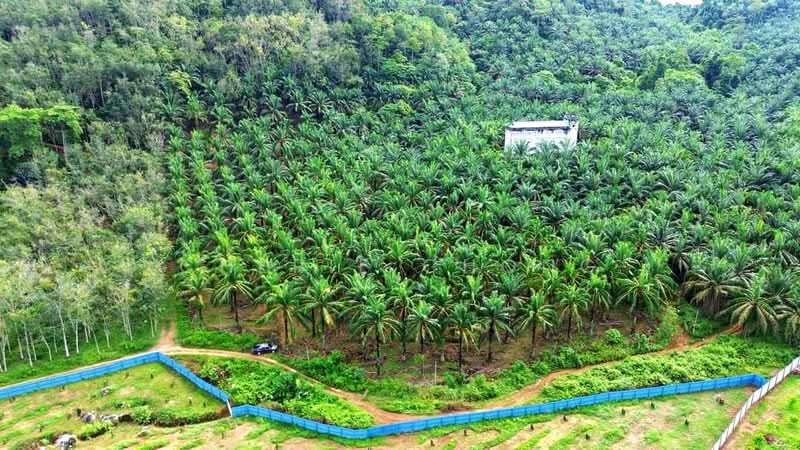 Agricultural Land for Sale in Taman Jalong Baru (Sungai Siput) - Cherie Chong - PropertyGuru.com.my