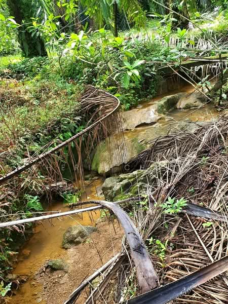 Agricultural Land for Sale in Taman Jalong Baru (Sungai Siput) - Cherie Chong - PropertyGuru.com.my