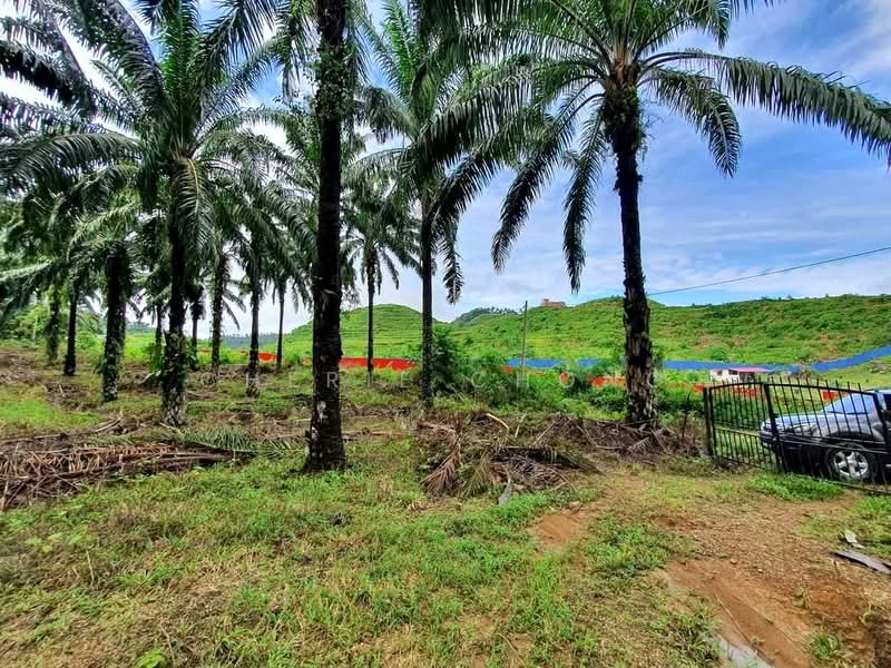 Agricultural Land for Sale in Taman Jalong Baru (Sungai Siput) - Cherie Chong - PropertyGuru.com.my