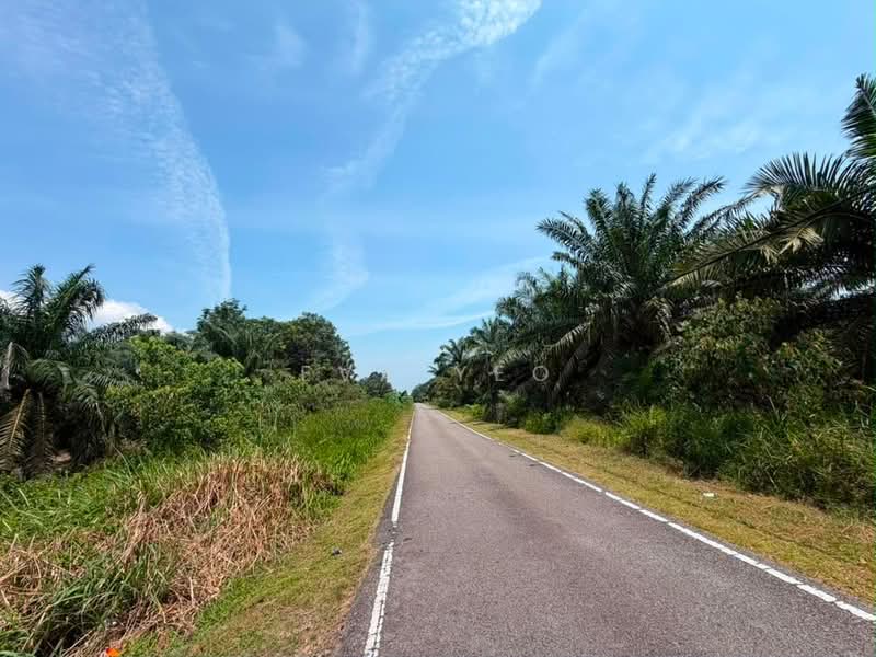Tanah Pertanian untuk Dijual di Ayer Baloi (Johor) - Eva Yeo - Exterior - PropertyGuru.com.my