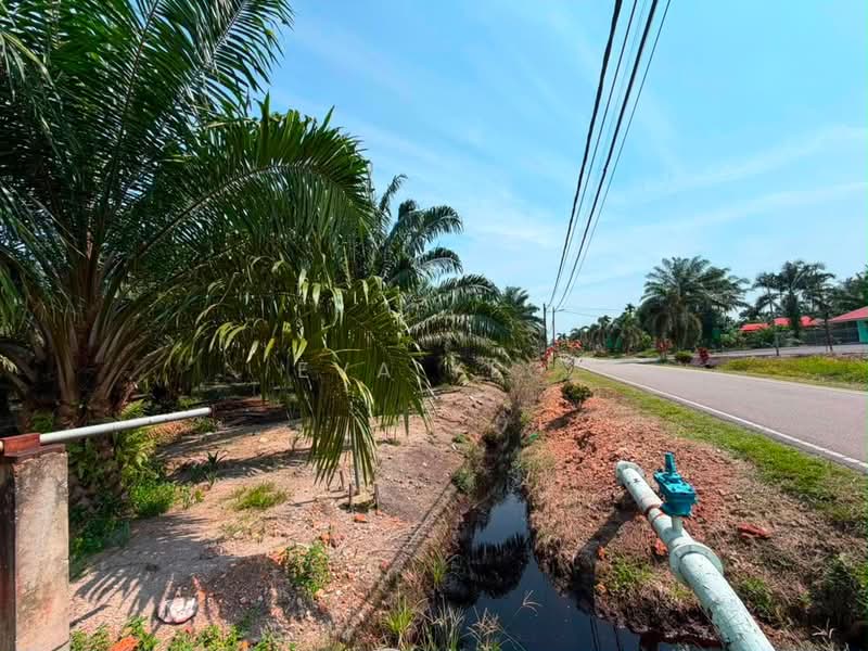 Tanah Pertanian untuk Dijual di Pontian (Johor) - Eva Yeo - Exterior - PropertyGuru.com.my