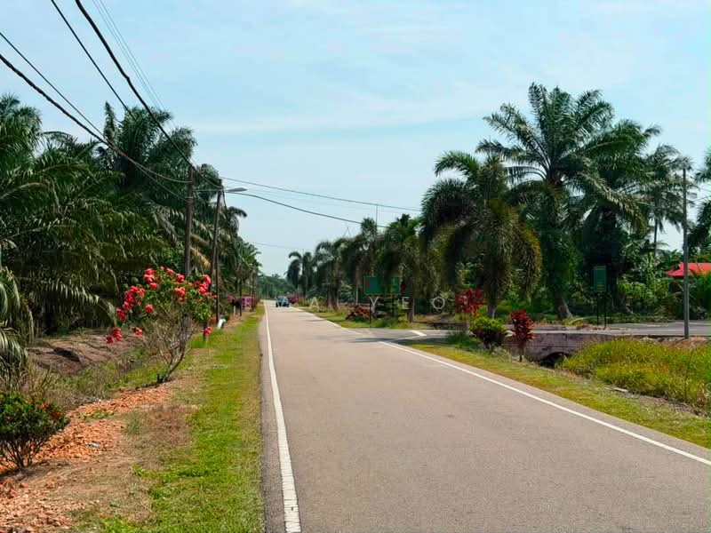 Tanah Pertanian untuk Dijual di Pontian (Johor) - Eva Yeo - Exterior - PropertyGuru.com.my