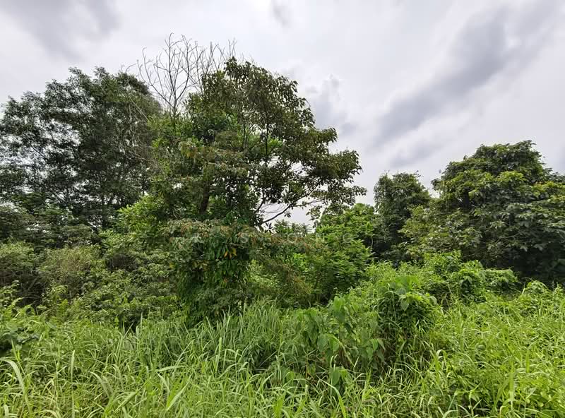 Tanah Perindustrian untuk Dijual di Johor Bahru (Johor) - K S Ong - Exterior - PropertyGuru.com.my