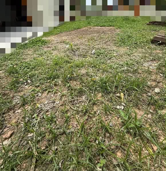 1-storey Terraced House for Sale in Bandar Pulai Jaya (Kulai) - Marvin Lim - Exterior - PropertyGuru.com.my