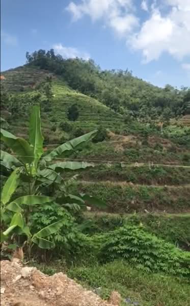 Tanah Pertanian untuk Dijual di Bentong (Pahang) - Alvin Seah - Exterior - PropertyGuru.com.my