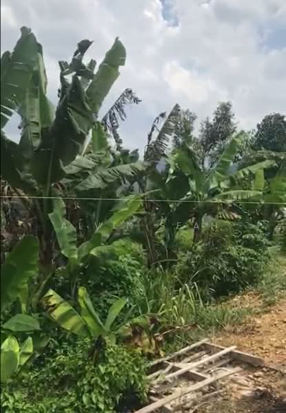 Tanah Pertanian untuk Dijual di Bentong (Pahang) - Alvin Seah - Exterior - PropertyGuru.com.my
