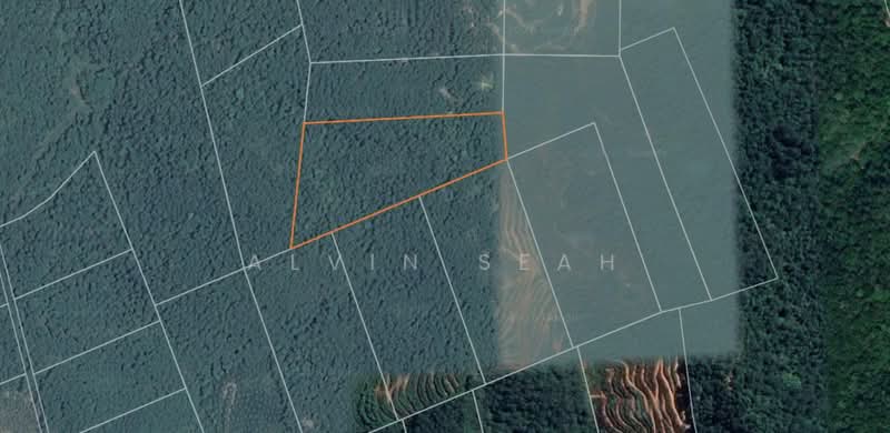 Tanah Pertanian untuk Dijual di Bentong (Pahang) - Alvin Seah - PropertyGuru.com.my