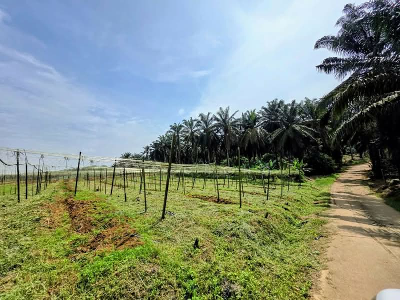 Industrial Land for Sale in Senai (Kulai) - C.T Chong - Exterior - PropertyGuru.com.my