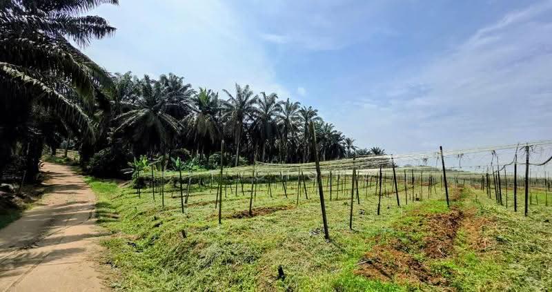 Industrial Land for Sale in Senai (Kulai) - C.T Chong - Exterior - PropertyGuru.com.my