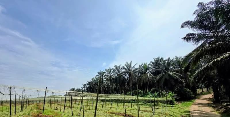 Industrial Land for Sale in Senai (Kulai) - C.T Chong - Exterior - PropertyGuru.com.my