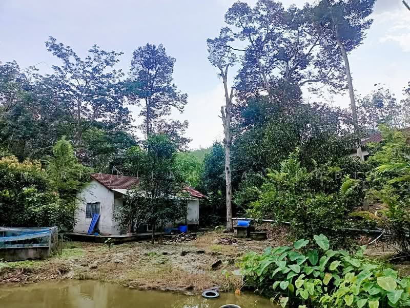 Agricultural Land for Sale in Kampung Sungai Tekali (Hulu Langat) - NORFADILAH ZAINUDDIN - Exterior - PropertyGuru.com.my