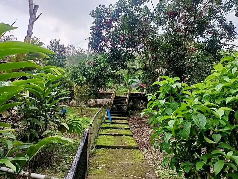 Agricultural Land for Sale in Kampung Sungai Tekali (Hulu Langat) - NORFADILAH ZAINUDDIN - Exterior - PropertyGuru.com.my