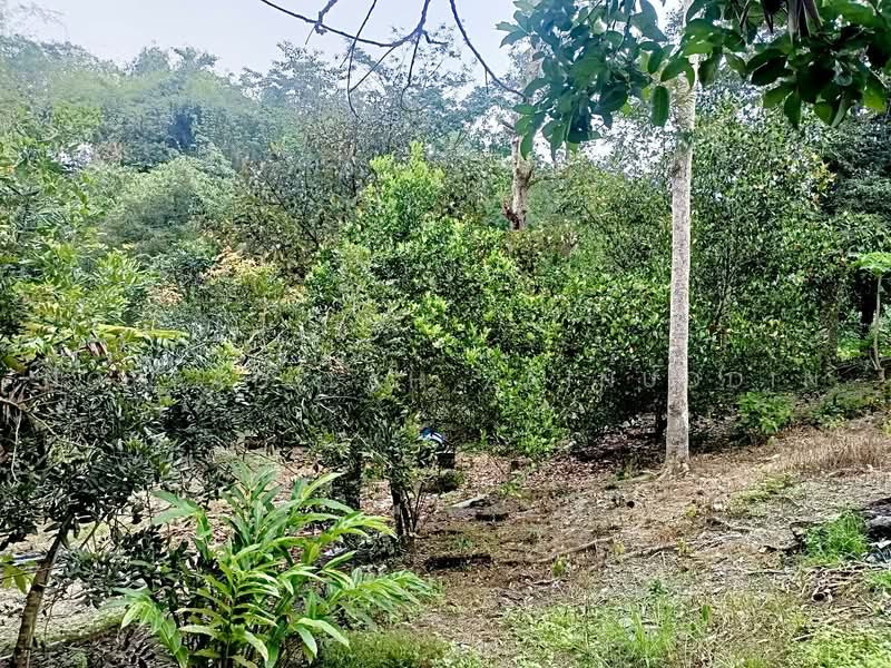 Agricultural Land for Sale in Kampung Sungai Tekali (Hulu Langat) - NORFADILAH ZAINUDDIN - Garden - PropertyGuru.com.my