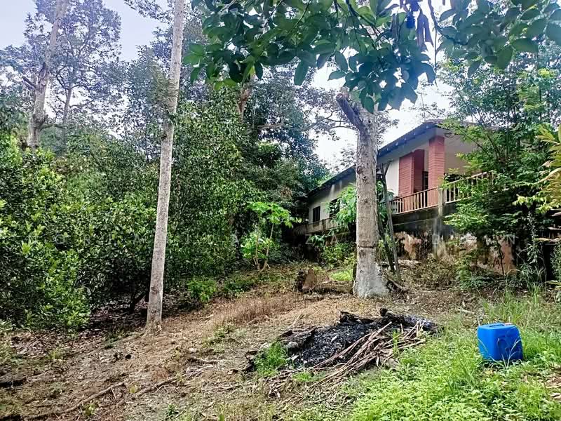 Agricultural Land for Sale in Kampung Sungai Tekali (Hulu Langat) - NORFADILAH ZAINUDDIN - Exterior - PropertyGuru.com.my