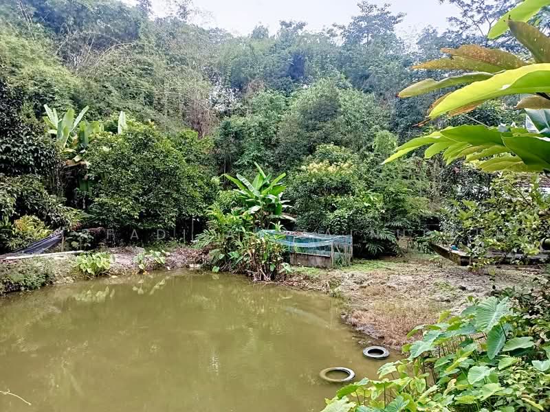 Agricultural Land for Sale in Kampung Sungai Tekali (Hulu Langat) - NORFADILAH ZAINUDDIN - Garden - PropertyGuru.com.my