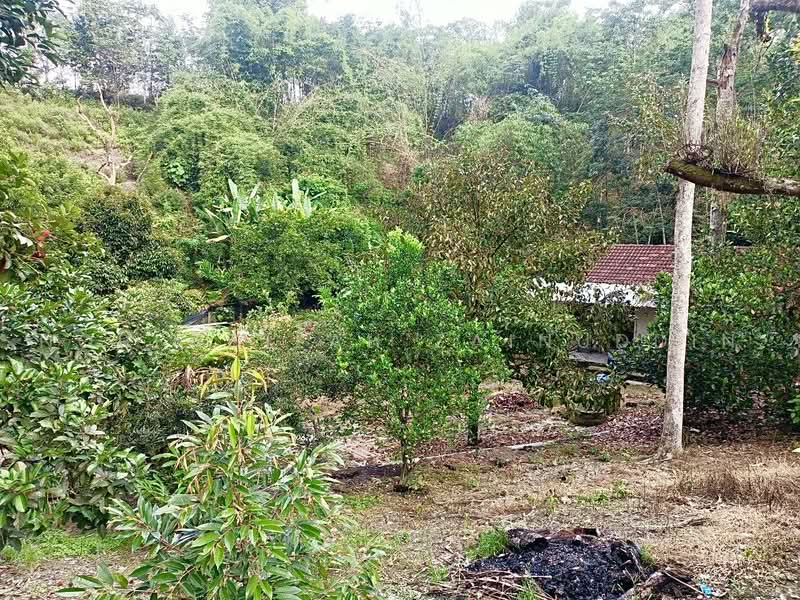 Agricultural Land for Sale in Kampung Sungai Tekali (Hulu Langat) - NORFADILAH ZAINUDDIN - Exterior - PropertyGuru.com.my