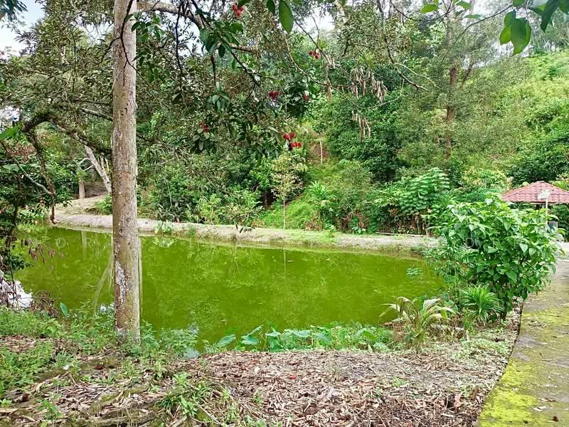 Agricultural Land for Sale in Kampung Sungai Tekali (Hulu Langat) - NORFADILAH ZAINUDDIN - Exterior - PropertyGuru.com.my
