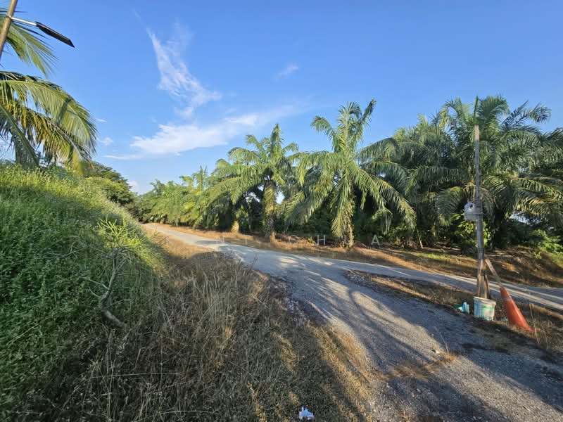 Tanah Pertanian untuk Dijual di Bestari Jaya (Selangor) - Kent Chua - Exterior - PropertyGuru.com.my