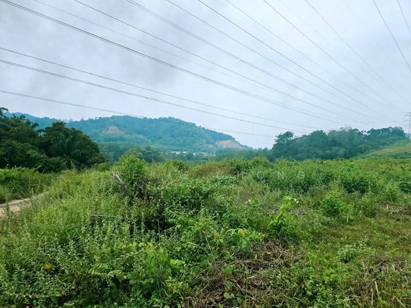 Agricultural Land for Sale in Kuala Kangsar (Perak) - Cherie Chong - PropertyGuru.com.my