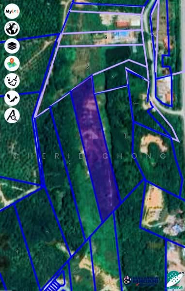 Agricultural Land for Sale in Kuala Kangsar (Perak) - Cherie Chong - PropertyGuru.com.my
