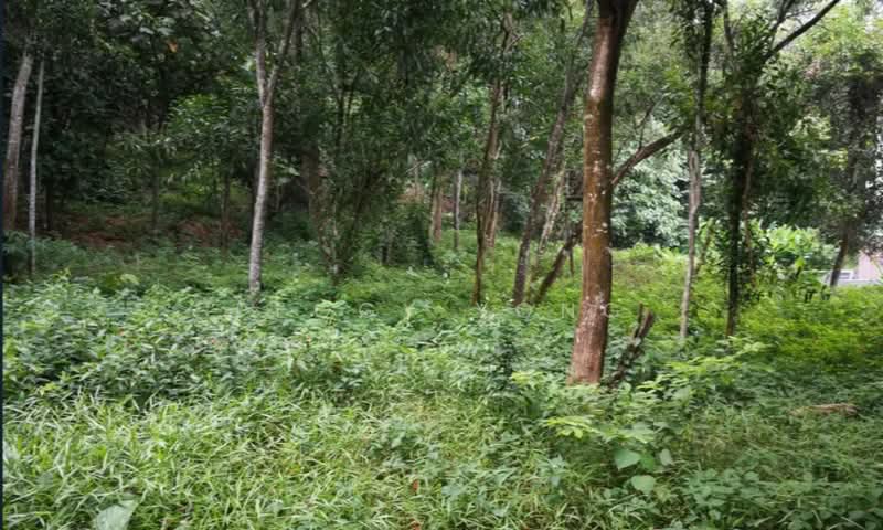 Residential Land for Sale in Country Heights Damansara (Kuala Lumpur) - Peggy Yong - Garden - PropertyGuru.com.my