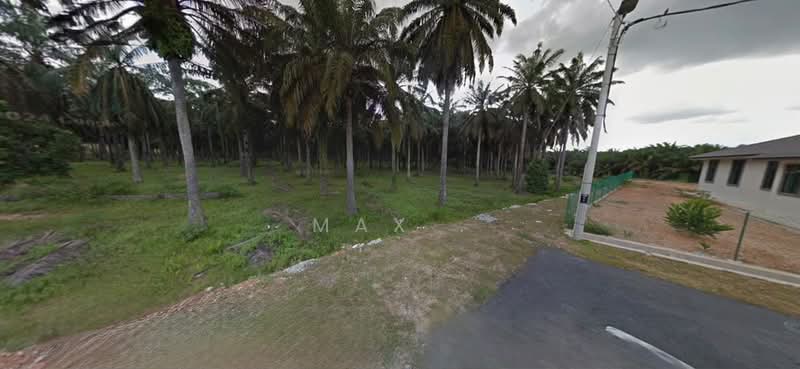 Tanah Kediaman untuk Dijual di Bera (Pahang) - Max . - Exterior - PropertyGuru.com.my