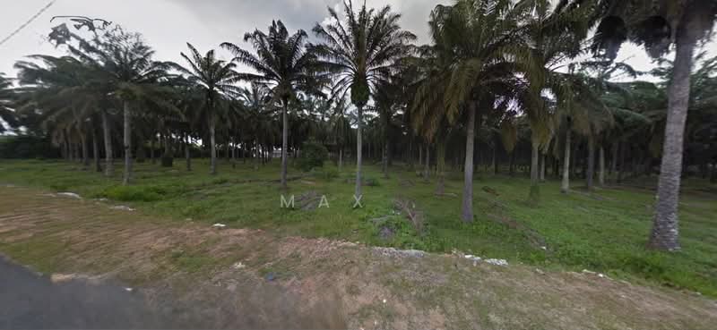 Tanah Kediaman untuk Dijual di Bera (Pahang) - Max . - Exterior - PropertyGuru.com.my