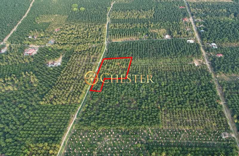Tanah Pertanian untuk Dijual di Kampung Minyak Beku (Senggarang) - ZG Law - PropertyGuru.com.my