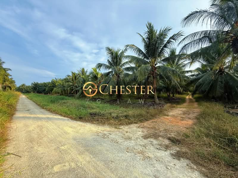 Tanah Pertanian untuk Dijual di Kampung Minyak Beku (Senggarang) - ZG Law - PropertyGuru.com.my