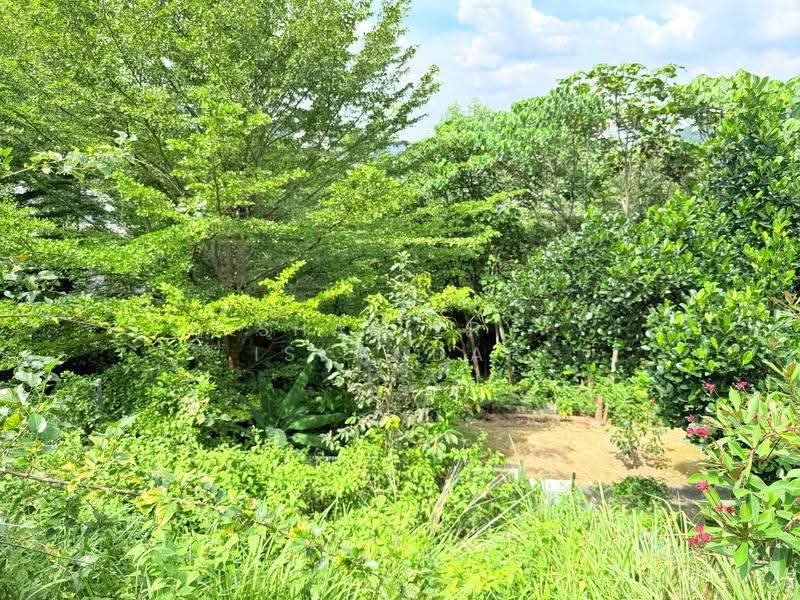 2-storey Terraced House for Sale in Ampang Jaya (Ampang) - Shaziery Iskandar - Garden - PropertyGuru.com.my