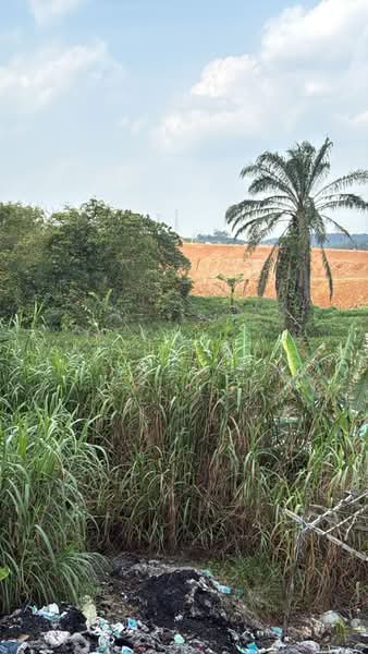 Tanah Pertanian untuk Dijual di Kulai (Johor) - Kelly Wai - Exterior - PropertyGuru.com.my