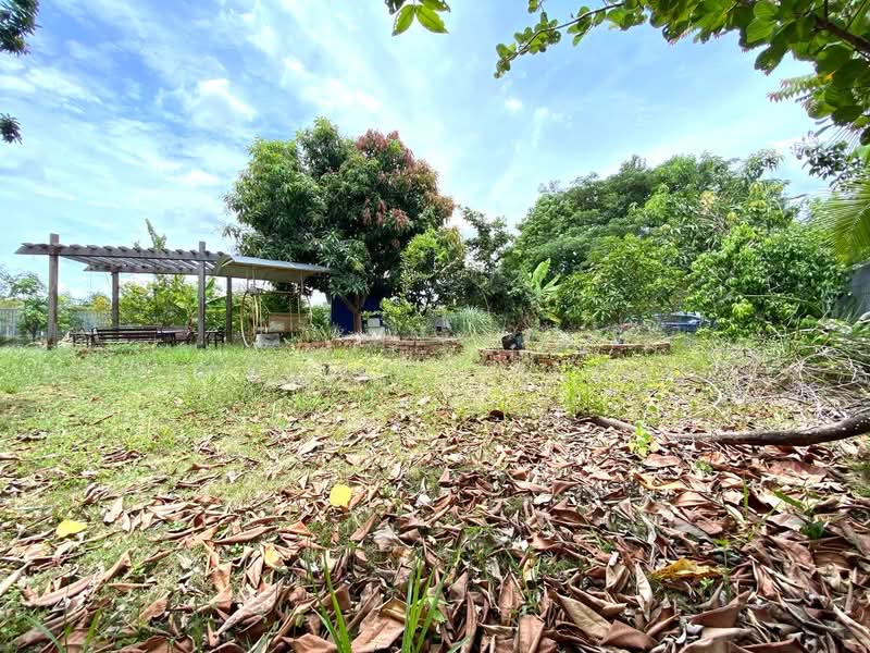 2-storey Terraced House for Sale in Bandar Rimbayu (Telok Panglima Garang) - NORFADILAH ZAINUDDIN - Garden - PropertyGuru.com.my