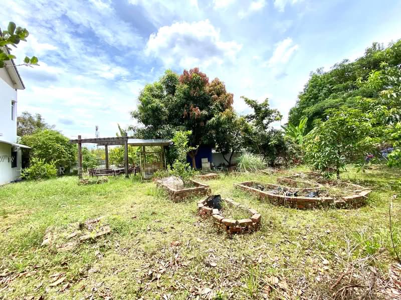 2-storey Terraced House for Sale in Bandar Rimbayu (Telok Panglima Garang) - NORFADILAH ZAINUDDIN - Garden - PropertyGuru.com.my