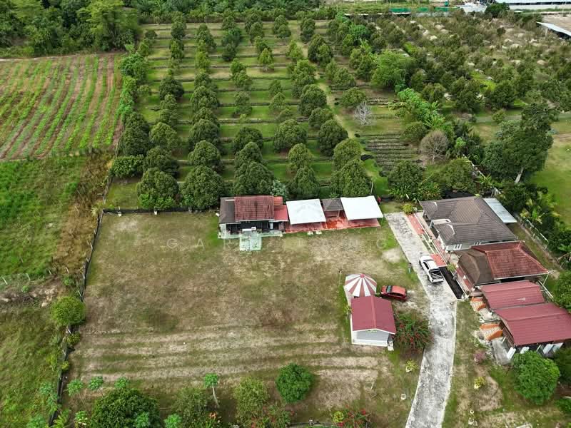 Agricultural Land for Sale in Kuala Kangsar (Perak) - Gary Tang - Exterior - PropertyGuru.com.my