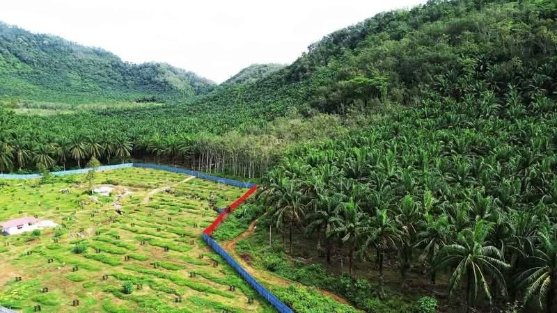 Agricultural Land for Sale in Sungai Siput (Perak) - Gary Tang - Exterior - PropertyGuru.com.my