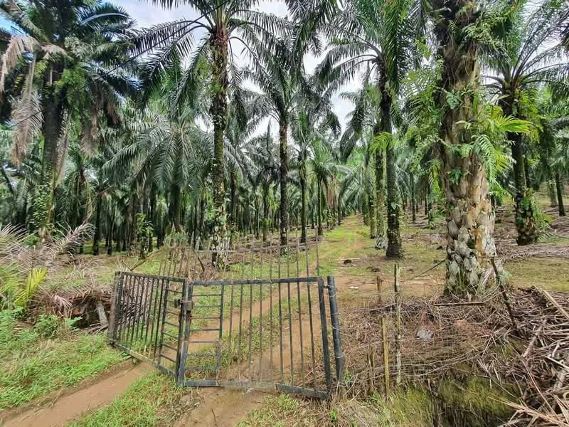 Agricultural Land for Sale in Sungai Siput (Perak) - Gary Tang - Exterior - PropertyGuru.com.my