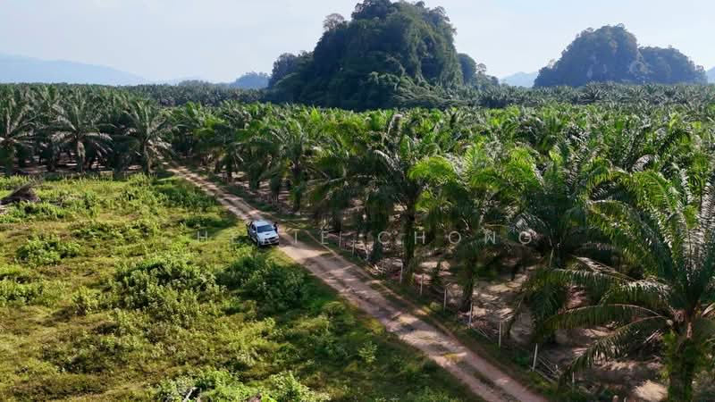 Agricultural Land for Sale in Jalong Tinggi (Ipoh) - Cherie Chong - PropertyGuru.com.my